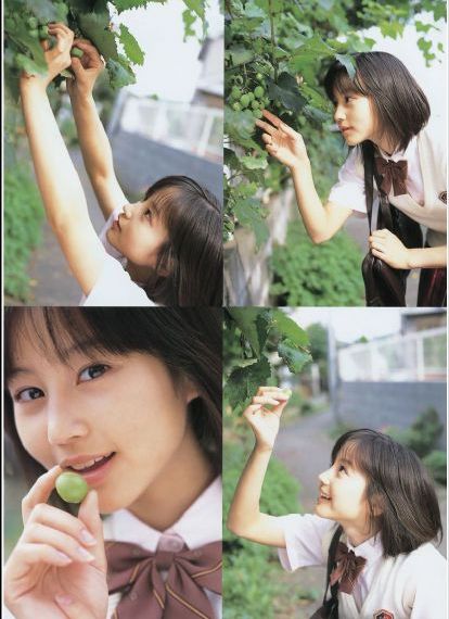 青苹果乐园电视剧在线播放